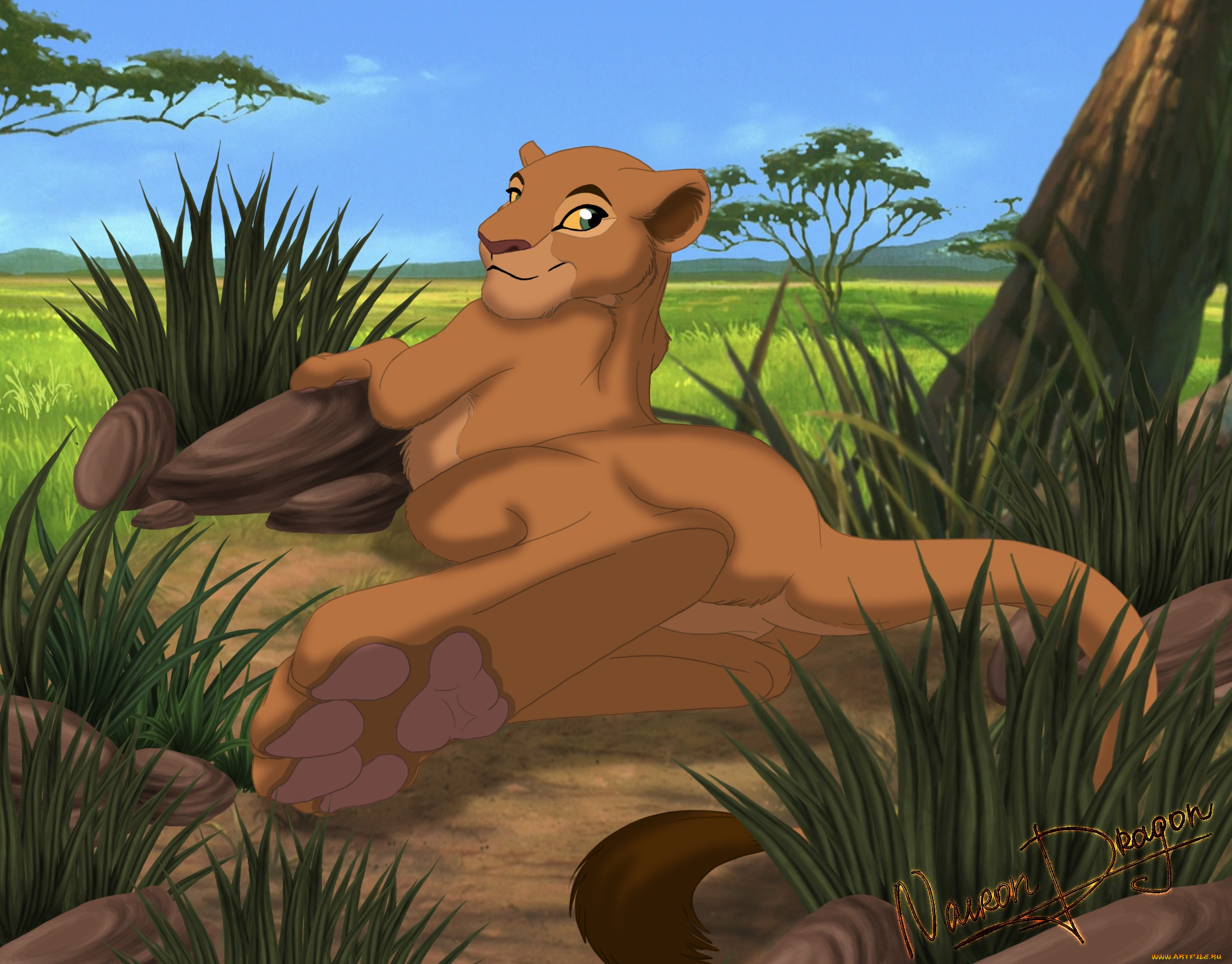  ,  , cartoons, , 